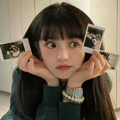 征服北极的人